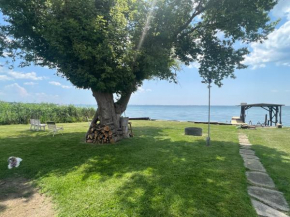 Lake Front Lower Unit